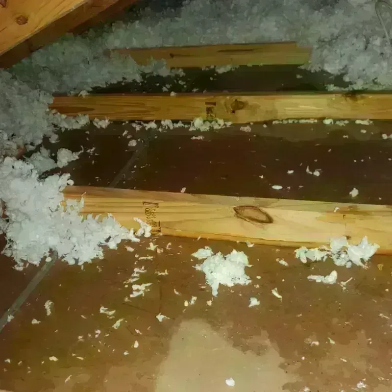 Attic Water Damage in Deerfield, WI