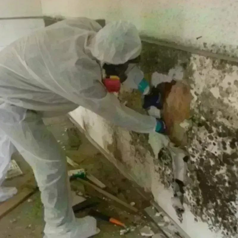 Mold Remediation and Removal in Deerfield, WI